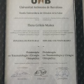 Acercar imagen: certificate 2