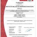 Acercar imagen: certificate 3