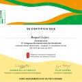 Acercar imagen: certificate 3