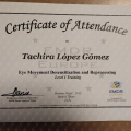 Acercar imagen: certificate 2