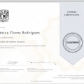 Acercar imagen: certificate 4