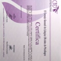 Acercar imagen: certificate 49