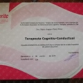 Acercar imagen: certificate 10