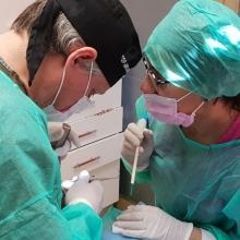 Acercar imagen: Lenina Ferrucci Rodriguez, Dentista Lloret de Mar