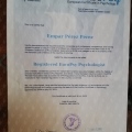Acercar imagen: certificate 11