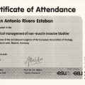 Acercar imagen: certificate 22