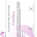 Acercar imagen: certificate 11