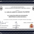 Acercar imagen: certificate 2