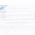 Acercar imagen: certificate 14