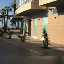 Clínica Dental JULIA GUERRERO