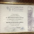 Acercar imagen: certificate 9