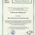 Acercar imagen: certificate 9