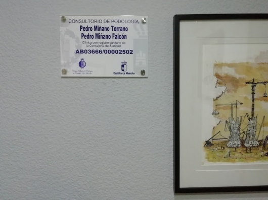 Pedro Antonio Miñano Falcón-7