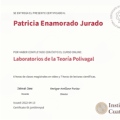 Acercar imagen: certificate 6