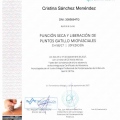 Acercar imagen: certificate 7