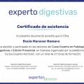 Acercar imagen: certificate 2