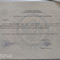 Acercar imagen: certificate 6