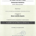 Acercar imagen: certificate 5