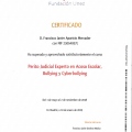 Acercar imagen: certificate 6