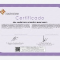 Acercar imagen: certificate 3