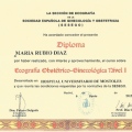 Acercar imagen: certificate 10