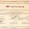 Acercar imagen: certificate 5