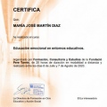 Acercar imagen: certificate 1