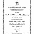 Acercar imagen: certificate 6