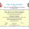 Acercar imagen: certificate 13