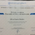 Acercar imagen: certificate 5