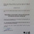 Acercar imagen: certificate 2