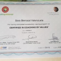 Acercar imagen: certificate 3