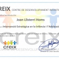 Acercar imagen: certificate 1