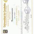 Acercar imagen: certificate 52