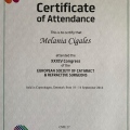 Acercar imagen: certificate 18
