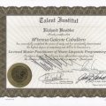Acercar imagen: certificate 9