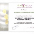 Acercar imagen: certificate 13