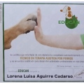 Acercar imagen: certificate 13