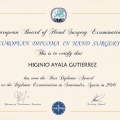 Acercar imagen: certificate 1