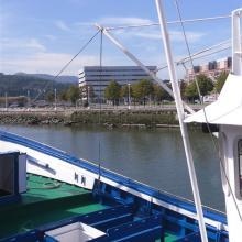 Acercar imagen: Nemesio Gómez Estancona, Otorrino Eibar