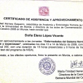 Acercar imagen: certificate 6
