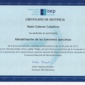 Acercar imagen: certificate 24