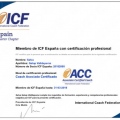 Acercar imagen: certificate 5