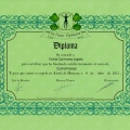 Acercar imagen: certificate 7