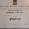 Acercar imagen: certificate 13