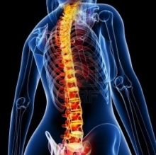 Acercar imagen: Javier Villacieros, Terapeuta complementario Los Arenales del Sol