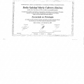 Acercar imagen: certificate 1