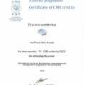 Acercar imagen: certificate 32