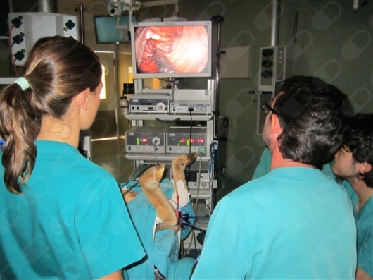 Francisco Alba Mesa-1