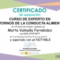 Acercar imagen: certificate 4